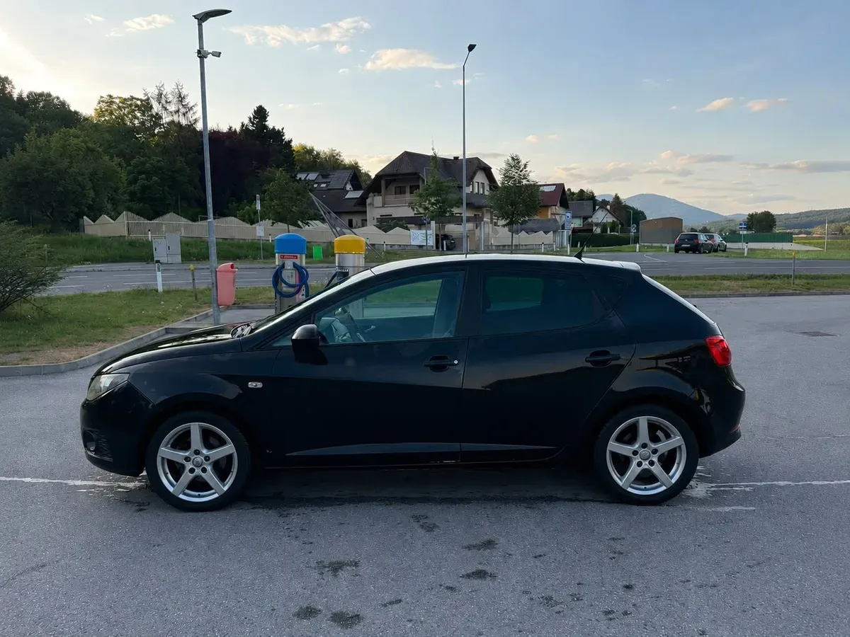 Seat Ibiza 2010 photo 2