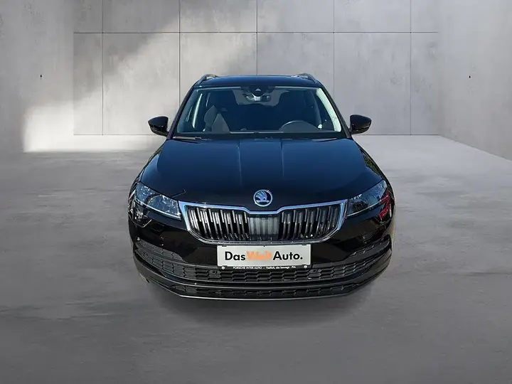 Skoda Karoq 2019 photo 2