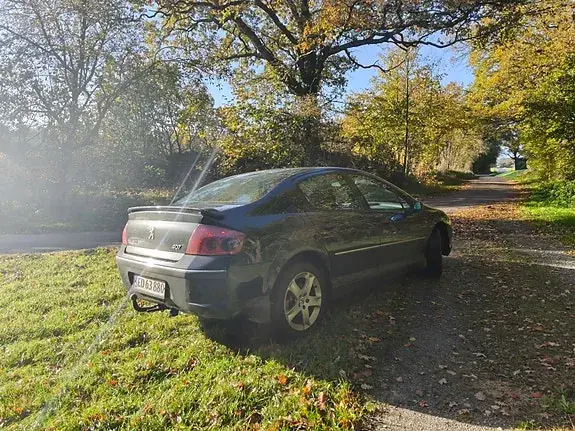 Peugeot 407 2004 photo 3