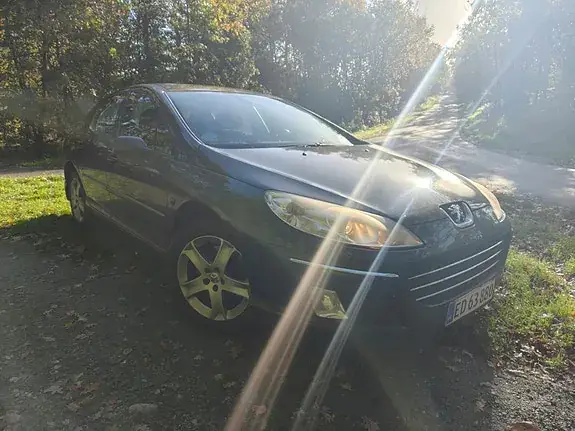 Peugeot 407 2004 photo 4