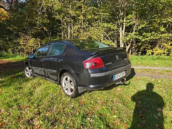 Peugeot 407 2004 photo 2