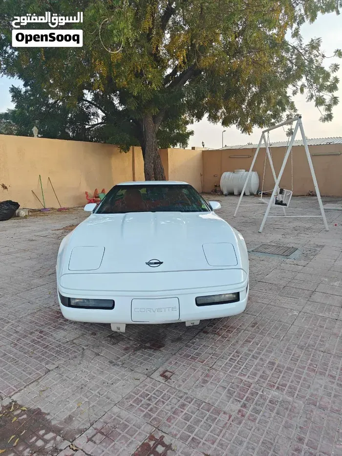 Chevrolet Corvette 1994 photo 2