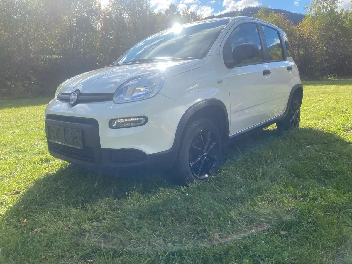 Fiat Panda 2014 photo 2