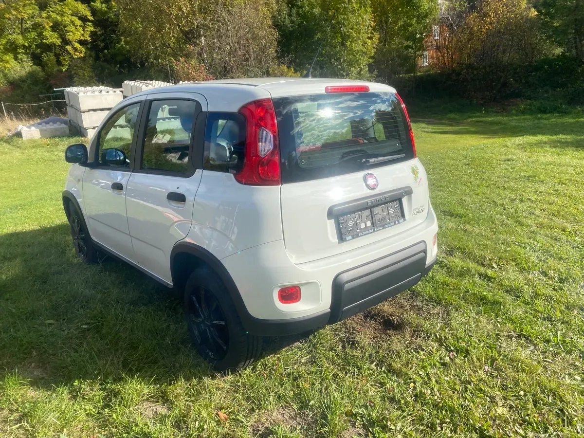 Fiat Panda 2014 photo 3