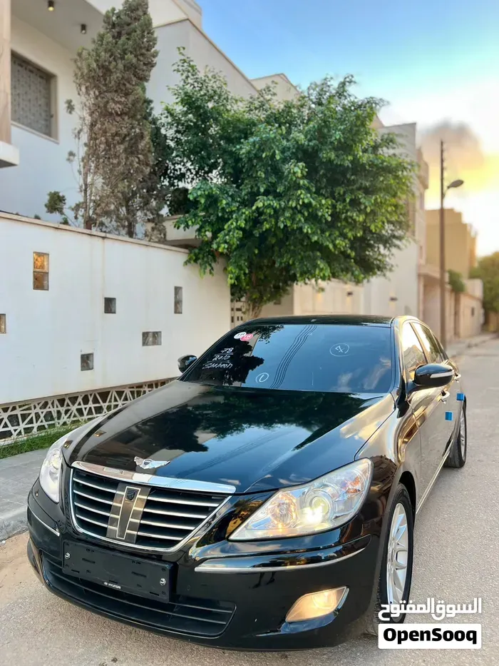 Genesis Sonata
