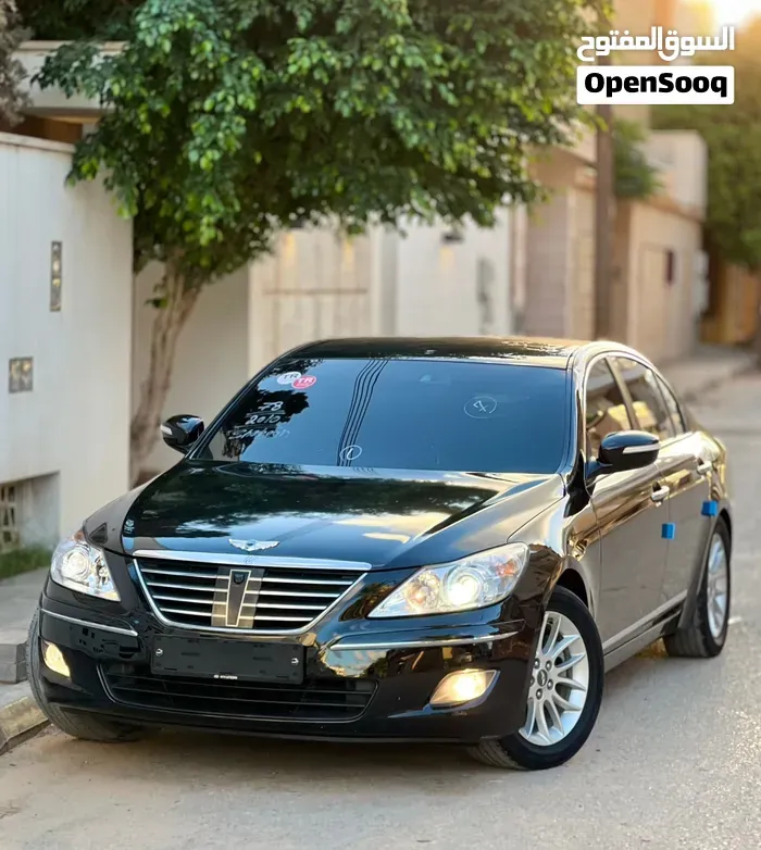 Genesis Sonata 2010 photo 4