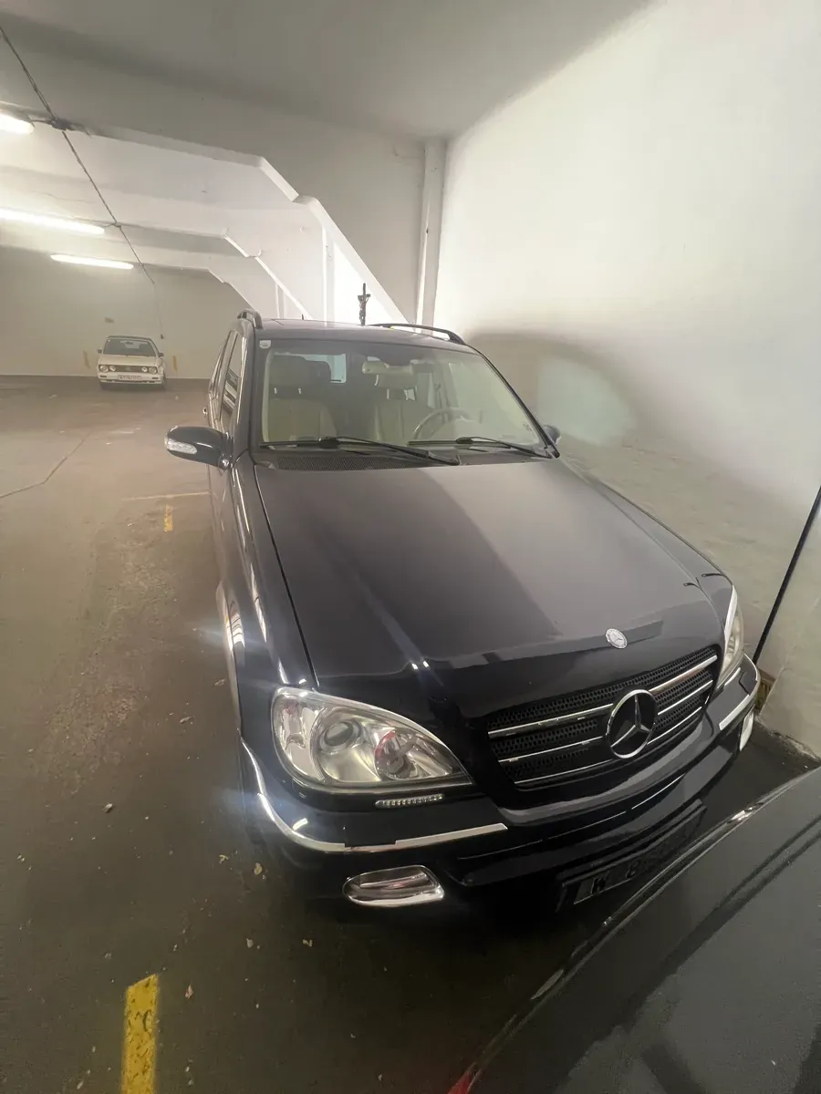 Mercedes-Benz M-Class 2002 photo 2