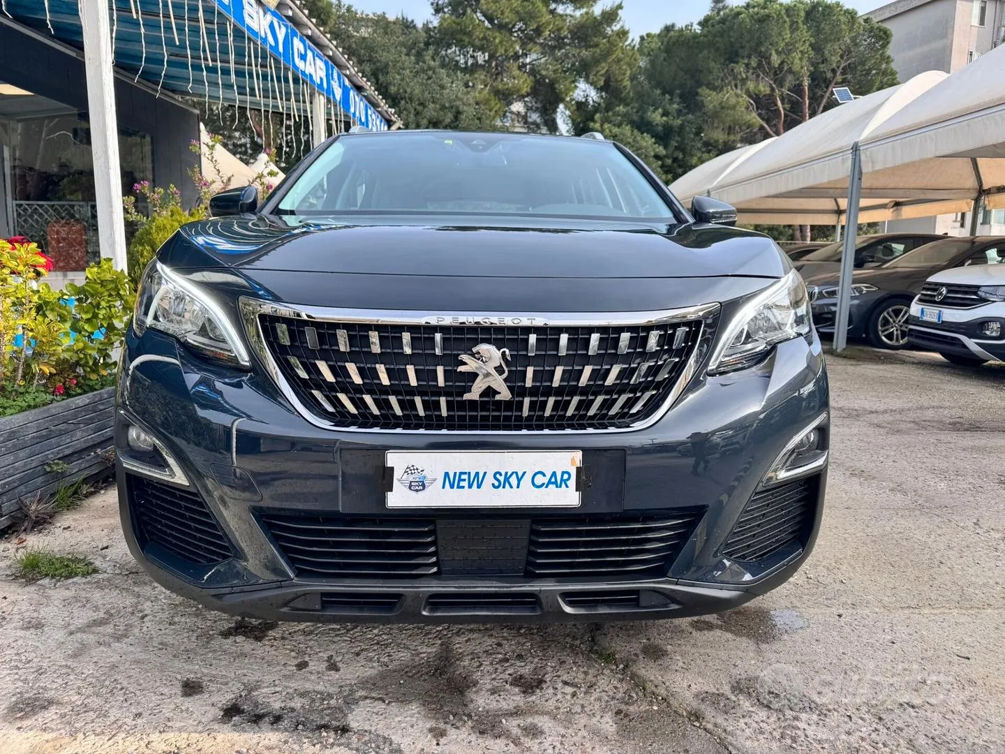 Peugeot 3008 2019 photo 2