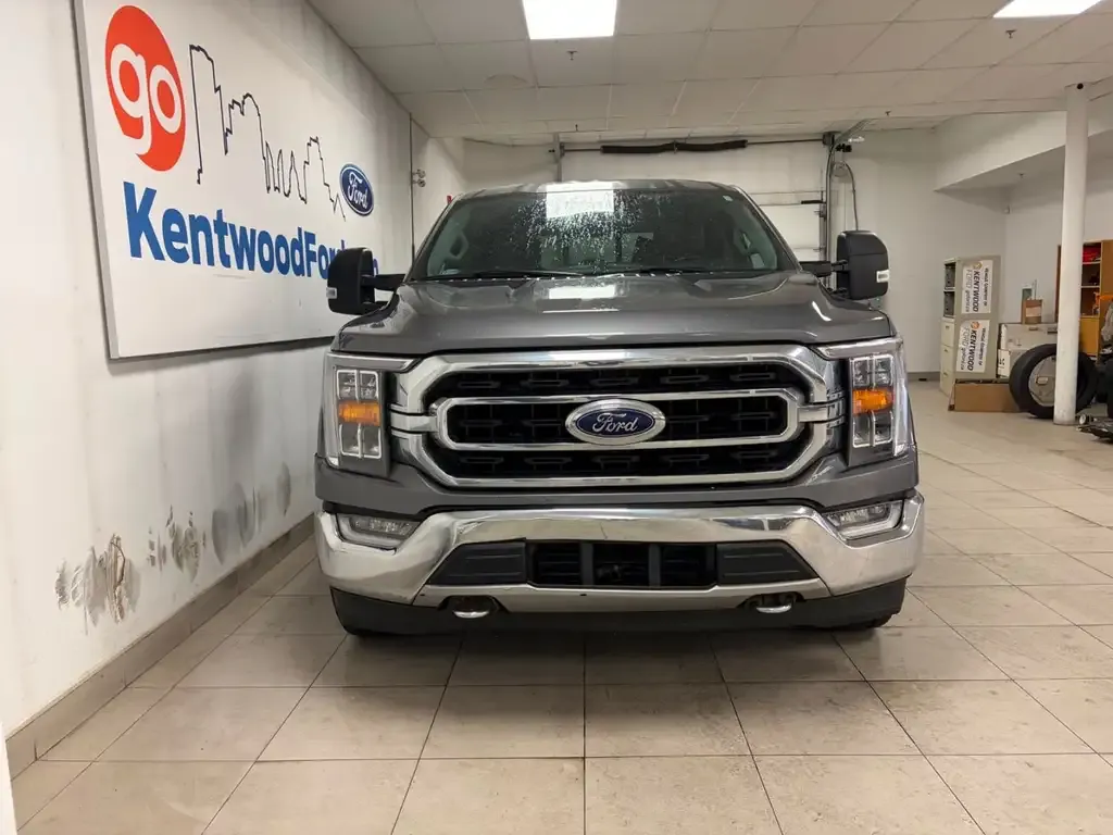 Ford F-150 2021 photo 2