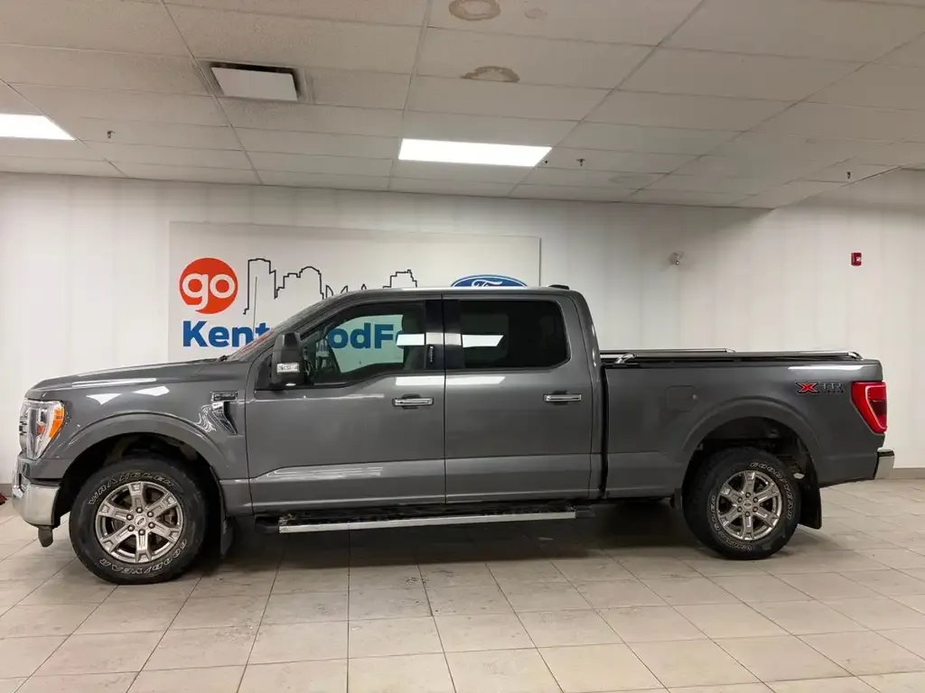 Ford F-150 2021 photo 3