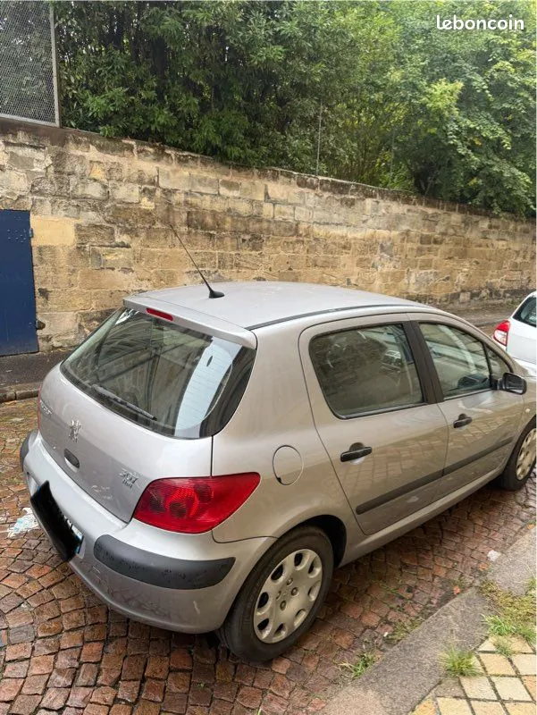 Peugeot 307 2002 photo 2