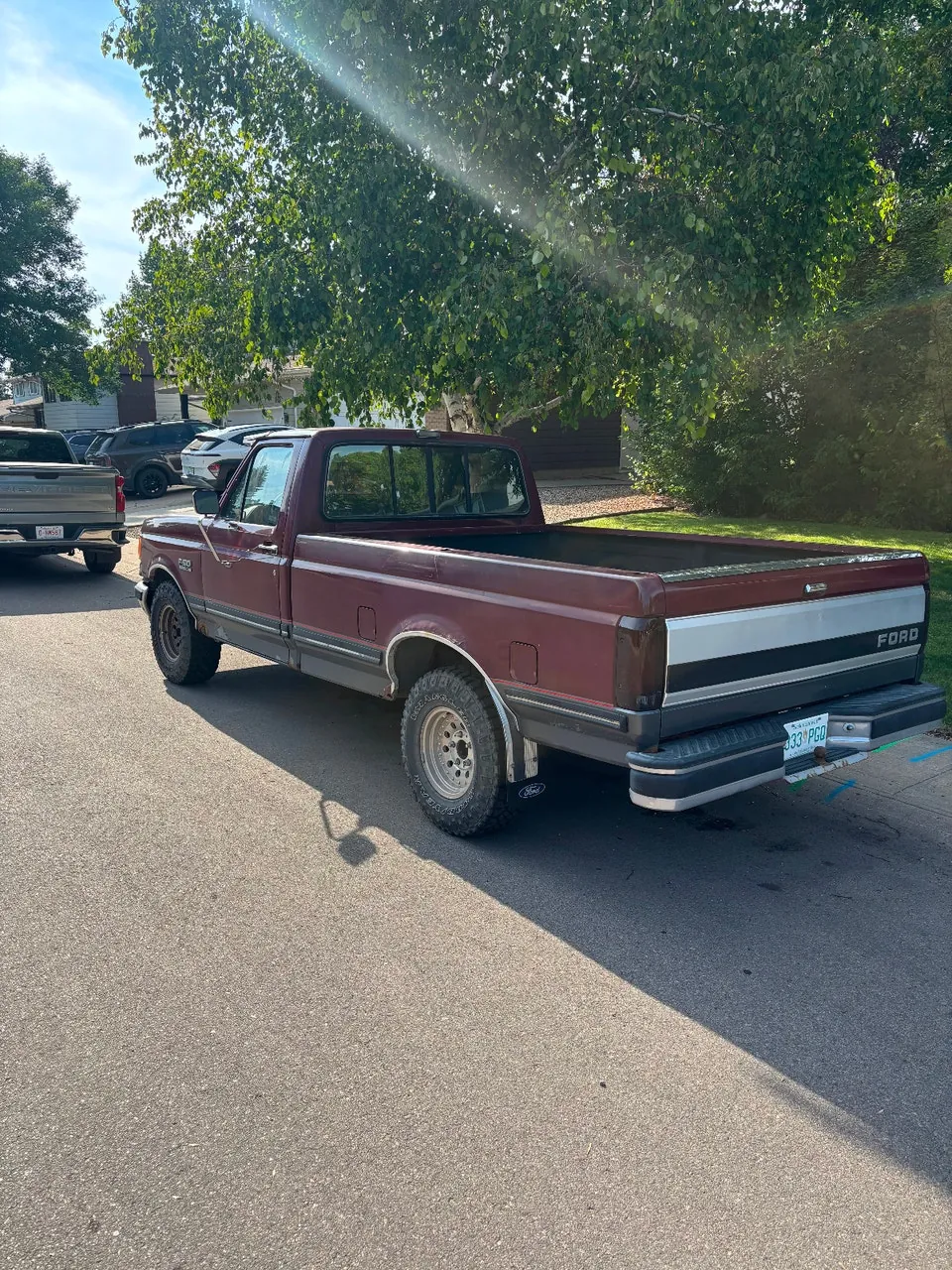 Ford F-150 1991 photo 3