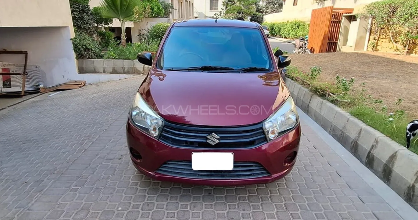 Suzuki Cultus