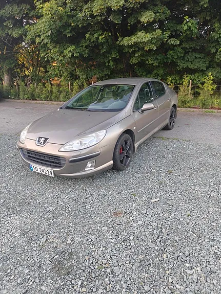 Peugeot 407 2005 photo 2