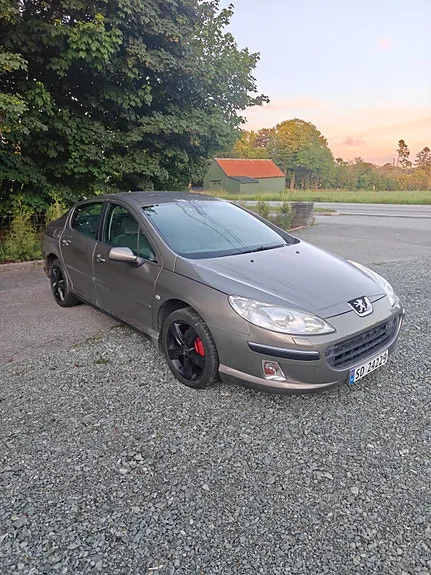 Peugeot 407 2005 photo 3