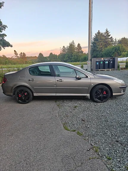Peugeot 407 2005 photo 4