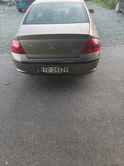 Peugeot 407 2005 photo 5