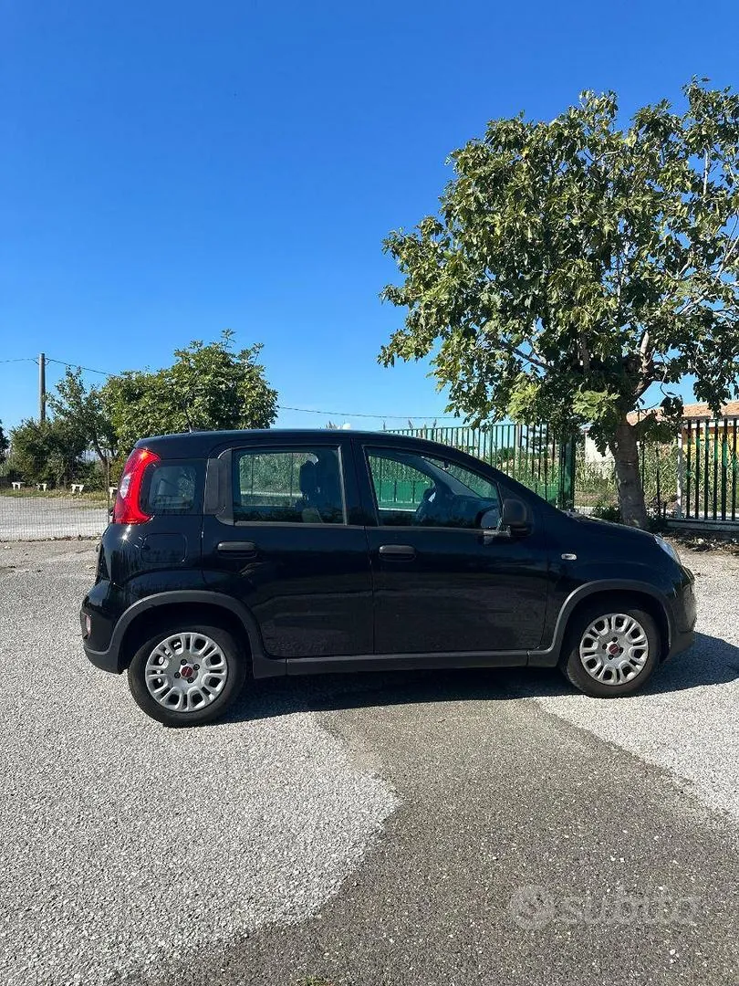 Fiat Panda 2024 photo 3