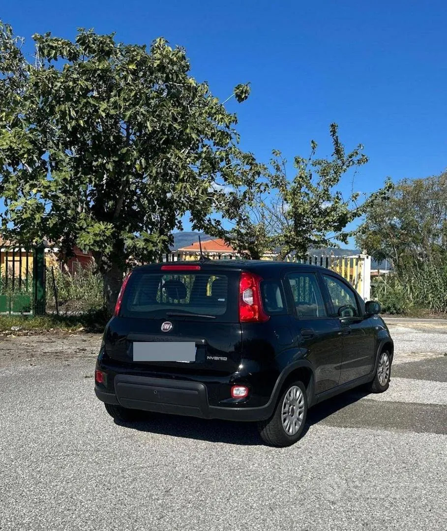 Fiat Panda 2024 photo 2