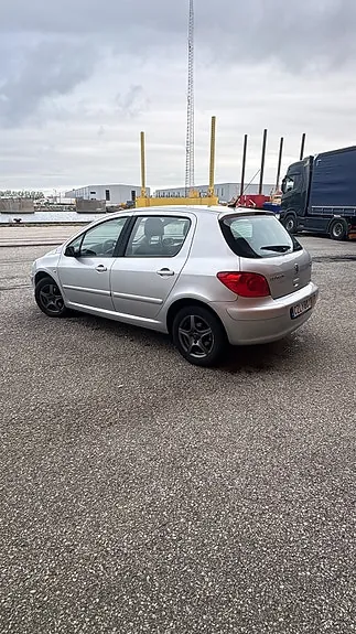Peugeot 307 2006 photo 4