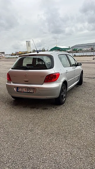 Peugeot 307 2006 photo 3
