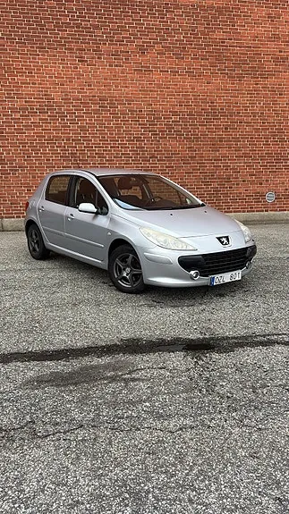 Peugeot 307 2006 photo 2