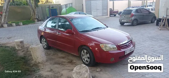 Kia Spectra 2008 photo 5