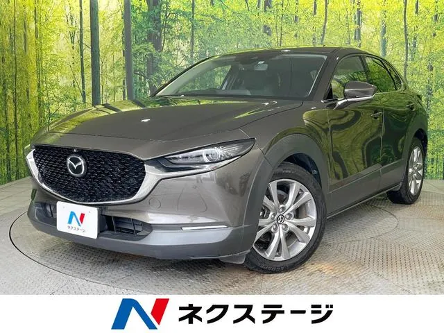 Mitsubishi Cx-30