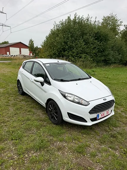 Ford Fiesta 2014 photo 3