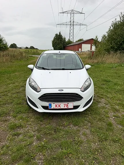 Ford Fiesta 2014 photo 2