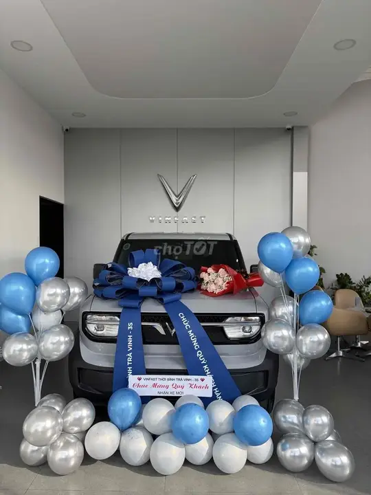 Vinfast Vf3