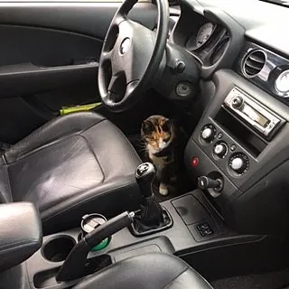 Subaru Impreza 2010 photo 3