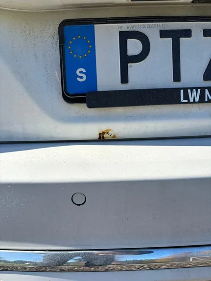 Volkswagen Passat 2014 photo 5