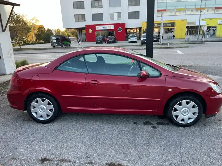 Peugeot 307 2004 photo 2
