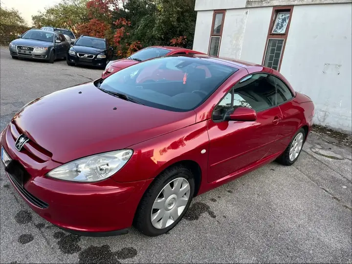 Peugeot 307 2004 photo 3