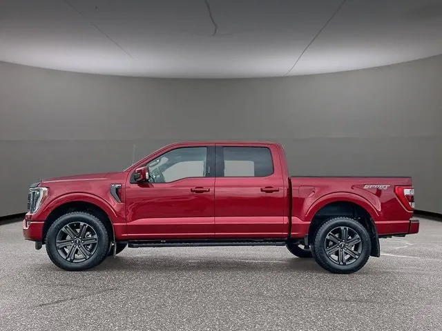 Ford F-150 2023 photo 4