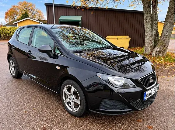 Seat Ibiza 2010 photo 2