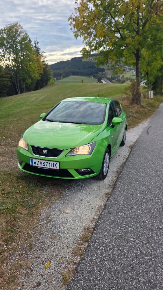 Seat Ibiza 2013 photo 2
