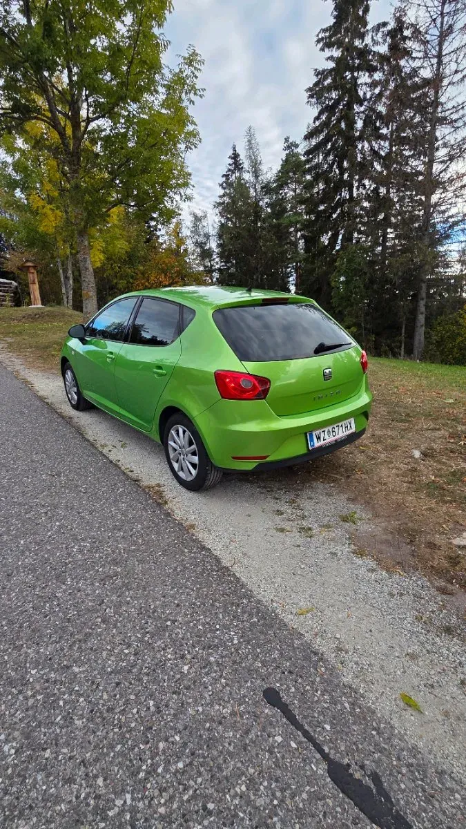 Seat Ibiza 2013 photo 3