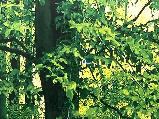 Mitsubishi Cx-8 2020 photo 4