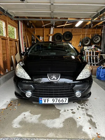 Peugeot 307 2008 photo 3