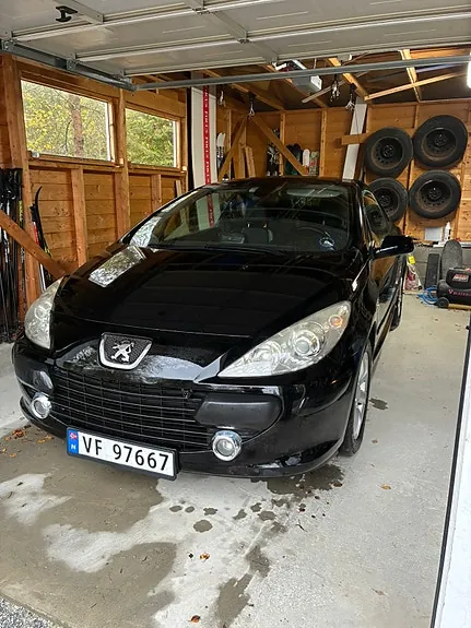 Peugeot 307 2008 photo 2