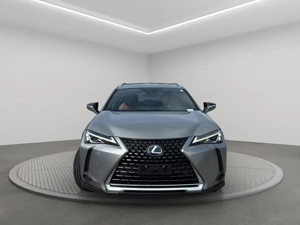 Lexus Ux 2020 photo 2