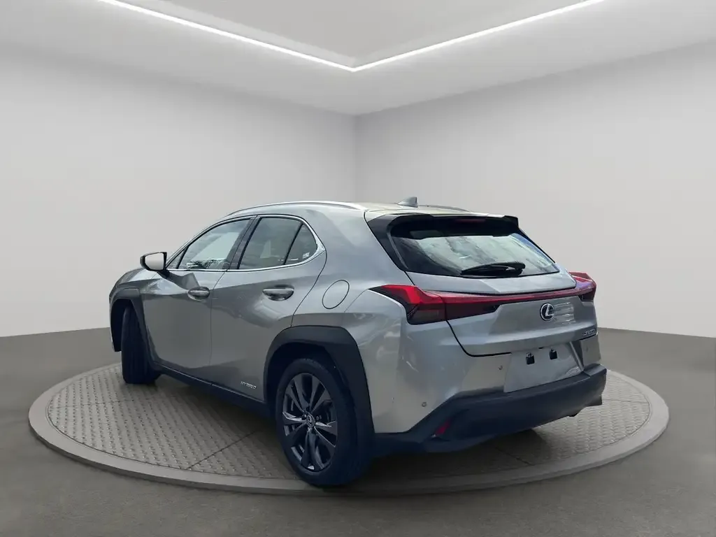 Lexus Ux 2020 photo 4