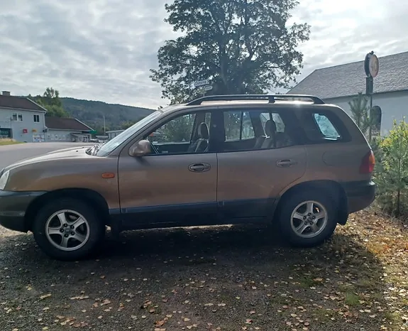Hyundai Santa Fe 2002 photo 3
