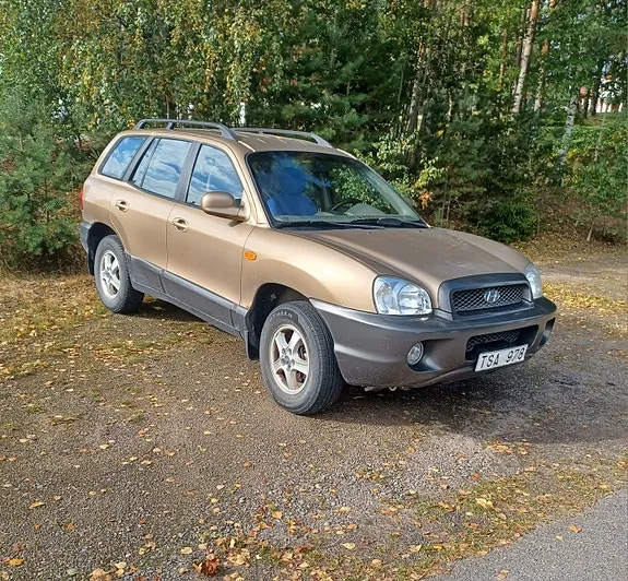 Hyundai Santa Fe 2002 photo 2