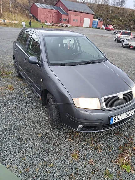 Skoda Fabia 2007 photo 2