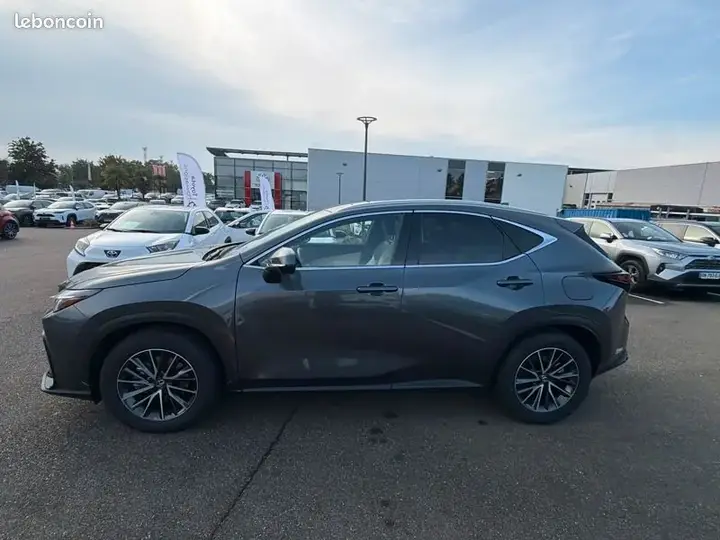 Lexus Nx 2024 photo 2