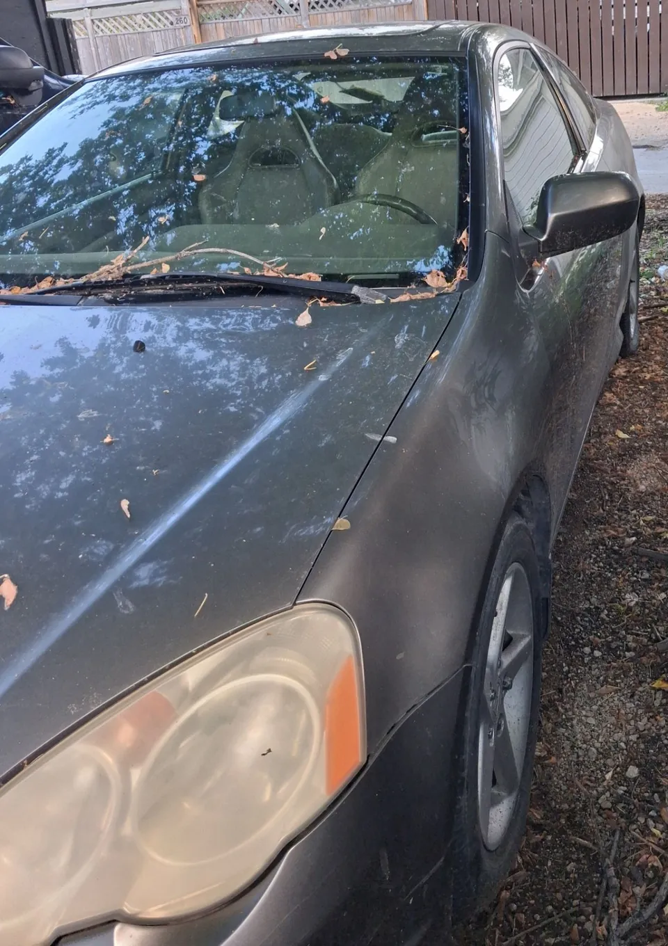 Acura Rsx 2002 photo 3