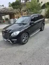 Mercedes-Benz M-Class 2012 photo 4